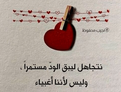 أقوى عبارات للحالات قصيرة جداً