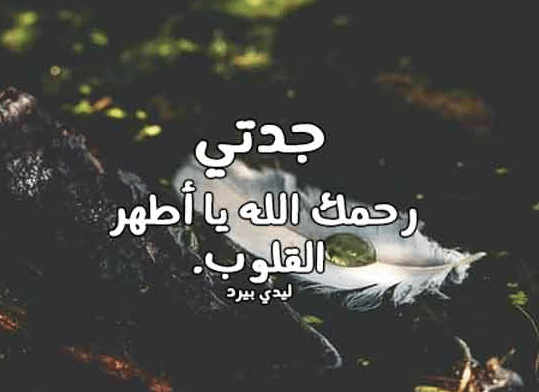 حالات عن جدتي المتوفية 4