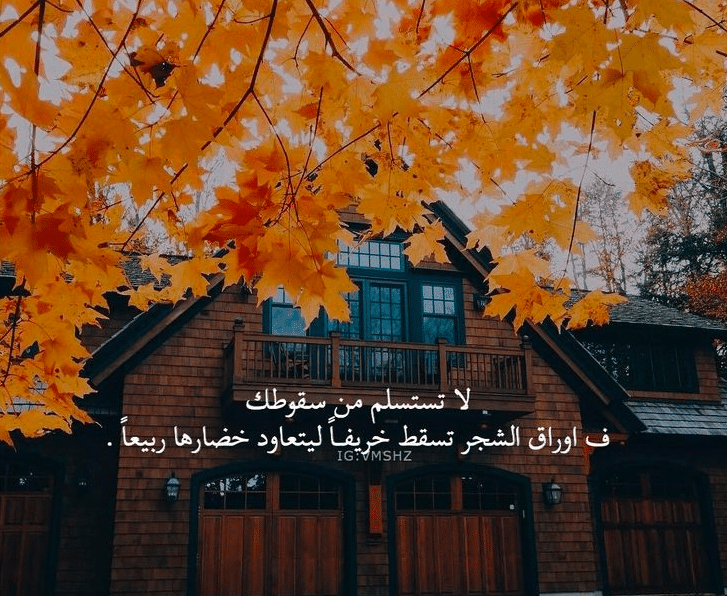 اقتباسات عن الخريف