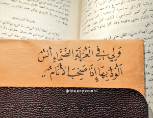 اقتباسات عن العزلة