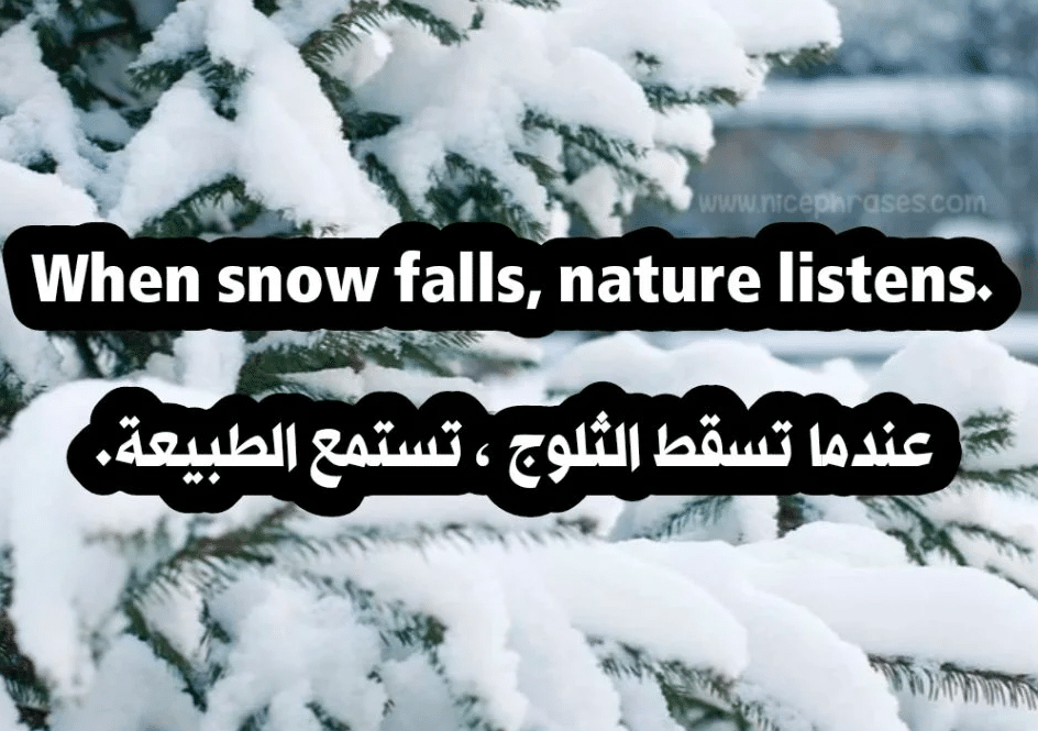 جمل عن فصل الشتاء بالانجليزي
