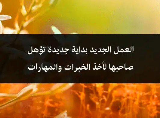 اقتباسات عن العمل