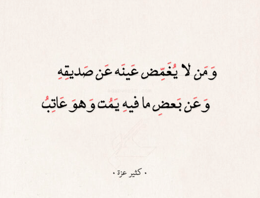 اقتباسات عن الصداقة