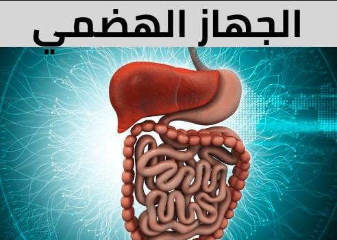 شرح درس الجهاز الهضمي