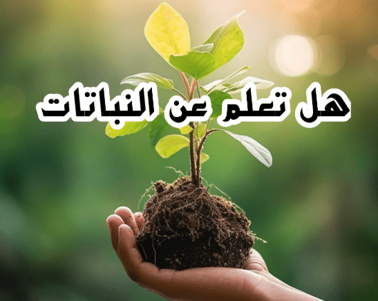فقرة هل تعلم عن النباتات