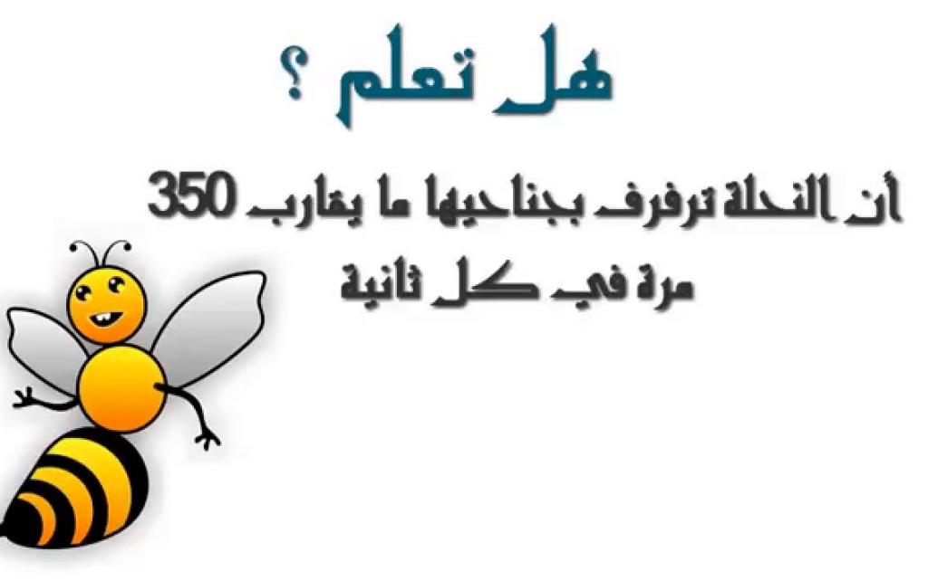 فقرة هل تعلم مضحكة