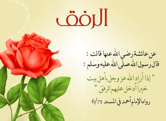 اذاعة مدرسية عن الرفق