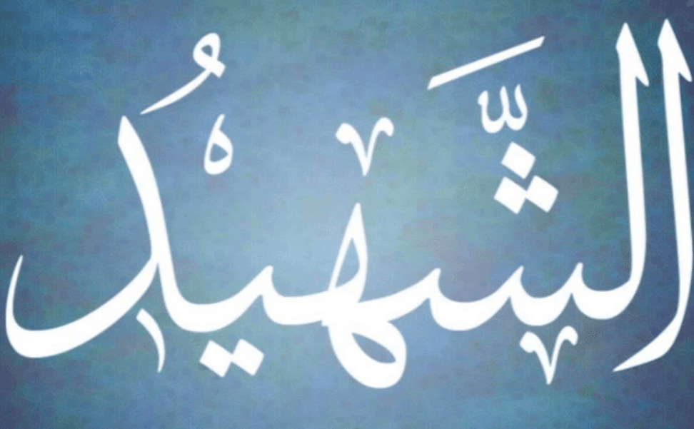 فقرة هل تعلم عن الشهيد