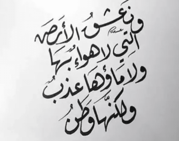 بحث جامعي عن الوطن