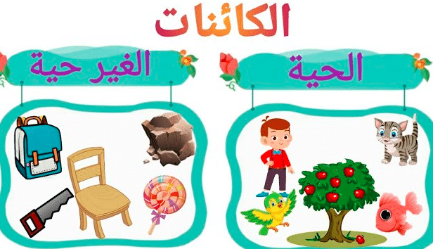 ورقة عمل الكائنات الحية والغير حية
