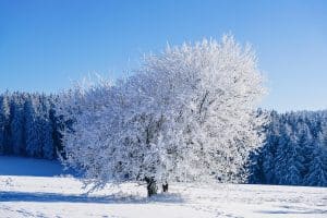 جمل عن فصل الشتاء بالانجليزي للاطفال