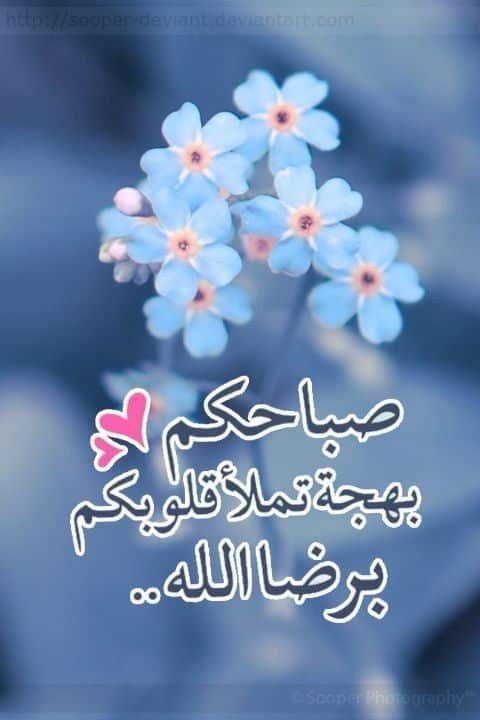 رسائل صباحية للواتس اب