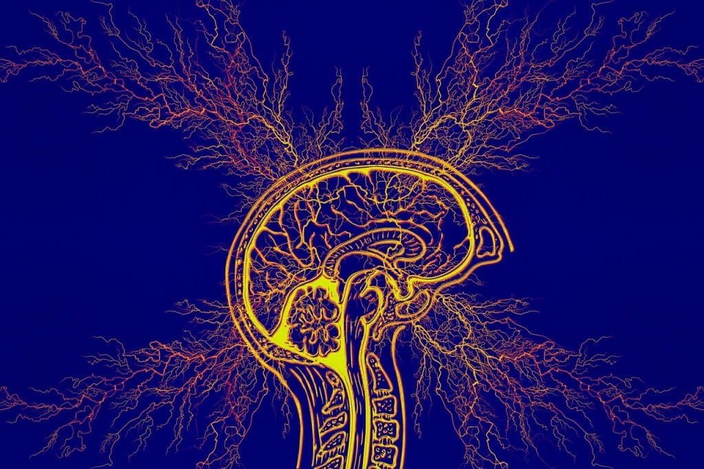موضوع بالانجليزي ما معنى الوسواس القهري مترجم للعربي