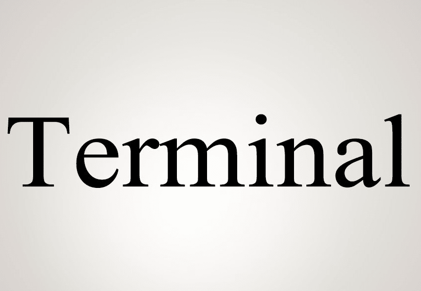 معنى terminal بالانجليزي
