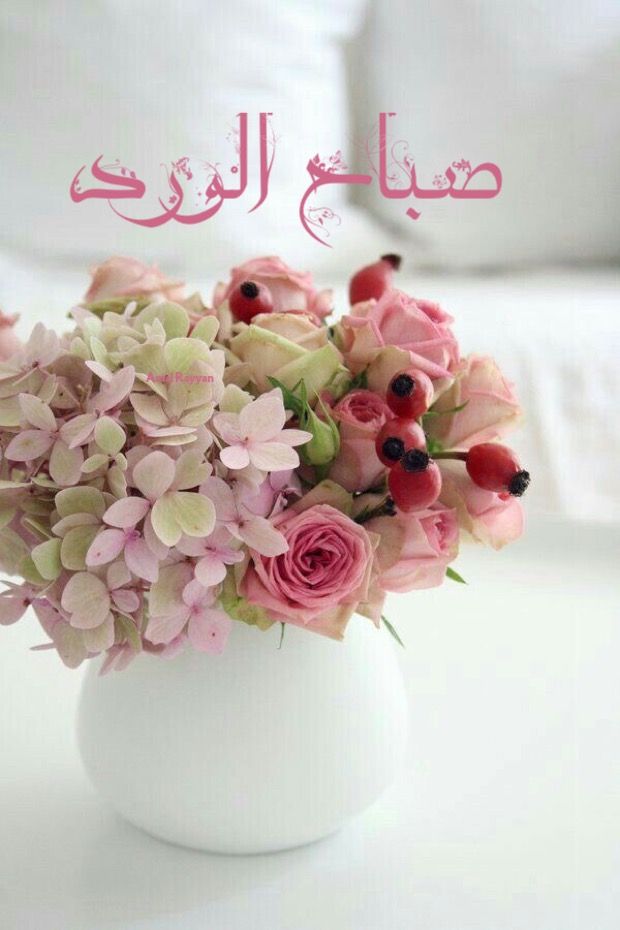 رسائل صباحية جميلة