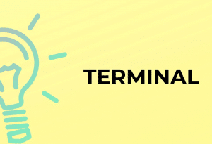 معنى terminal بالانجليزي