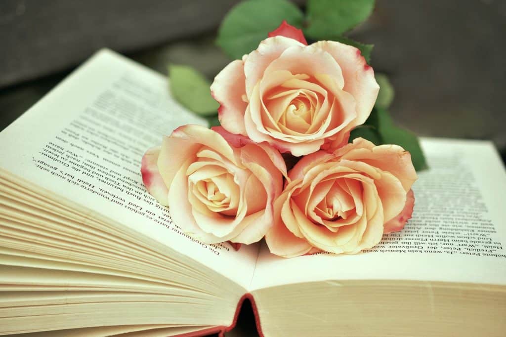 حكم بالانجليزي عن الحياة مترجم للعربي