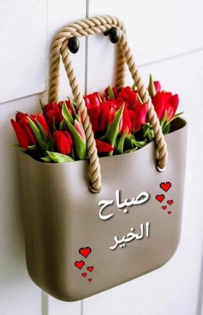 صباح الحب والرومانسية