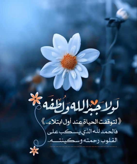 كلام يريح القلب الحزين
