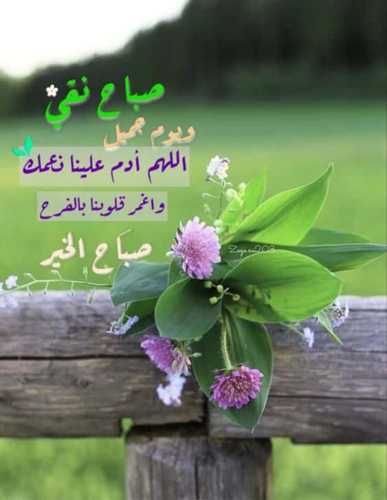 مسجات صباحية دعاء صباح الخير