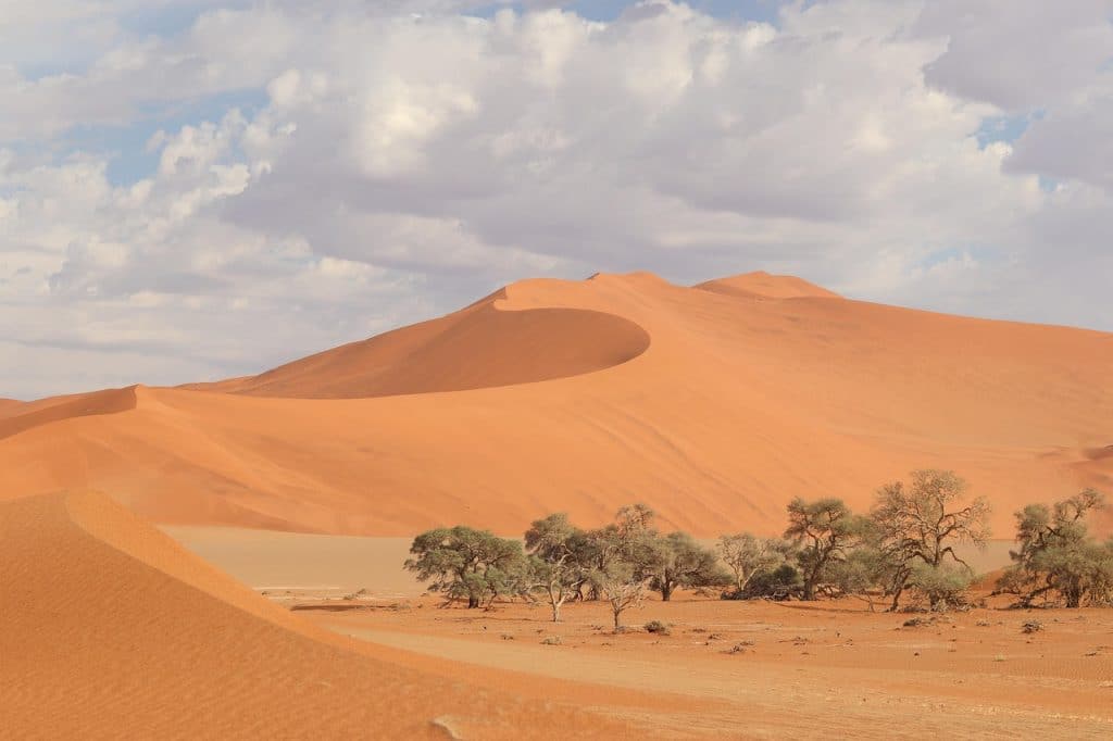 بحث عن أكبر صحراء في العالم بالعربي والانجليزي