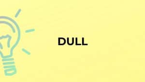 معنى وترجمة كلمة dull بالانجليزي