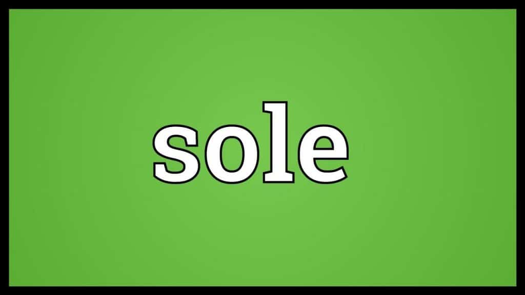 معنى كلمة sole بالانجليزي
