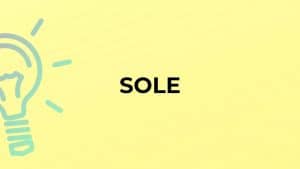 معنى كلمة sole بالانجليزي