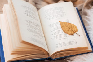 بحث عن عالم عربي باللغة الأنجليزية
