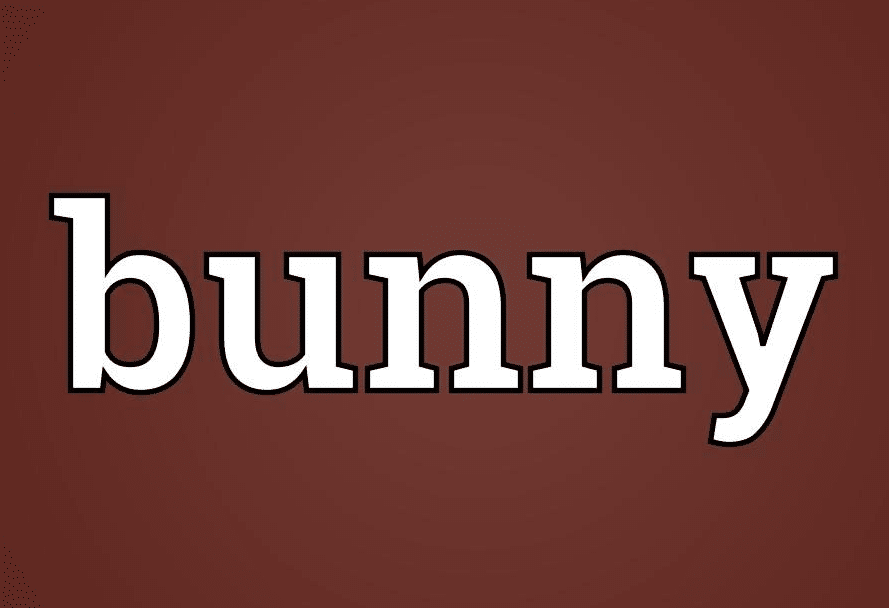 معني Bunny بالانجليزي والعربي