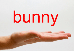 معني Bunny بالانجليزي والعربي