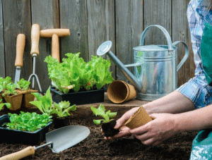 مقال عن أدوات الزراعة واسمائها بالأنجليزي والعربي