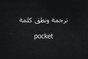 معنى pocket بالانجليزي والعربي