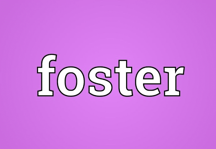 معنى foster بالانجليزي والعربي