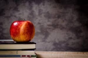 تعبير بالانجليزي عن معلمة تيدي ستودارد مترجم بالعربية
