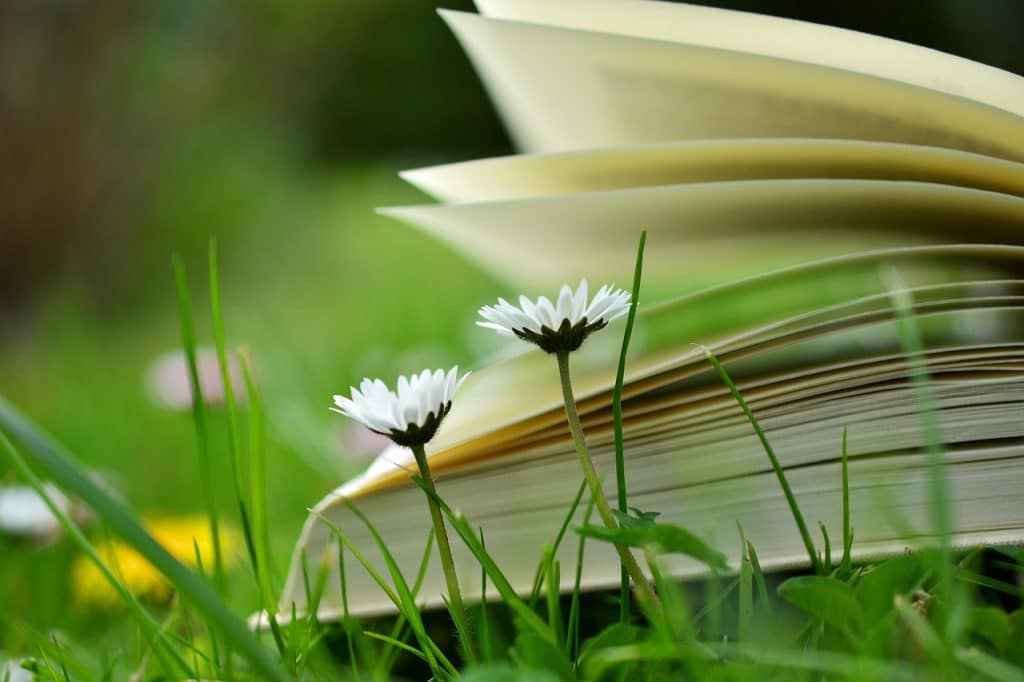 قصة ساحرة الغابة المرعبة (بابا ياجا) بالانجليزي والعربي
