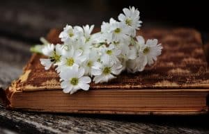 قصة ساحرة الغابة المرعبة (بابا ياجا) بالانجليزي والعربي