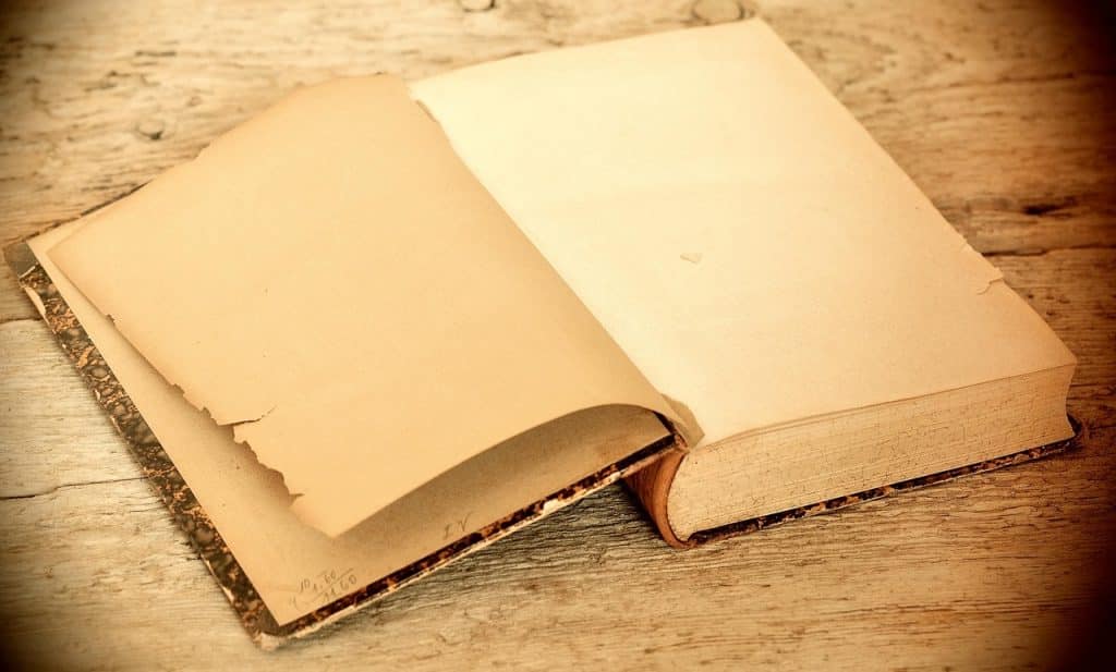 مقالة بالانجليزي عن لماذا سميت الخنساء بهذا الاسم مترجمة