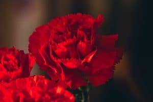 تعابير كلمة red بالانجليزي والعربي