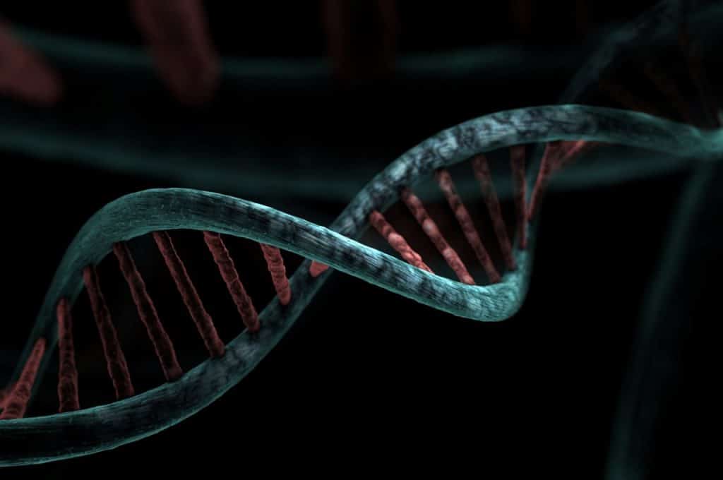 بحث عن ماهو علم الجينوم والطب الدقيق بالعربي والانجليزي
