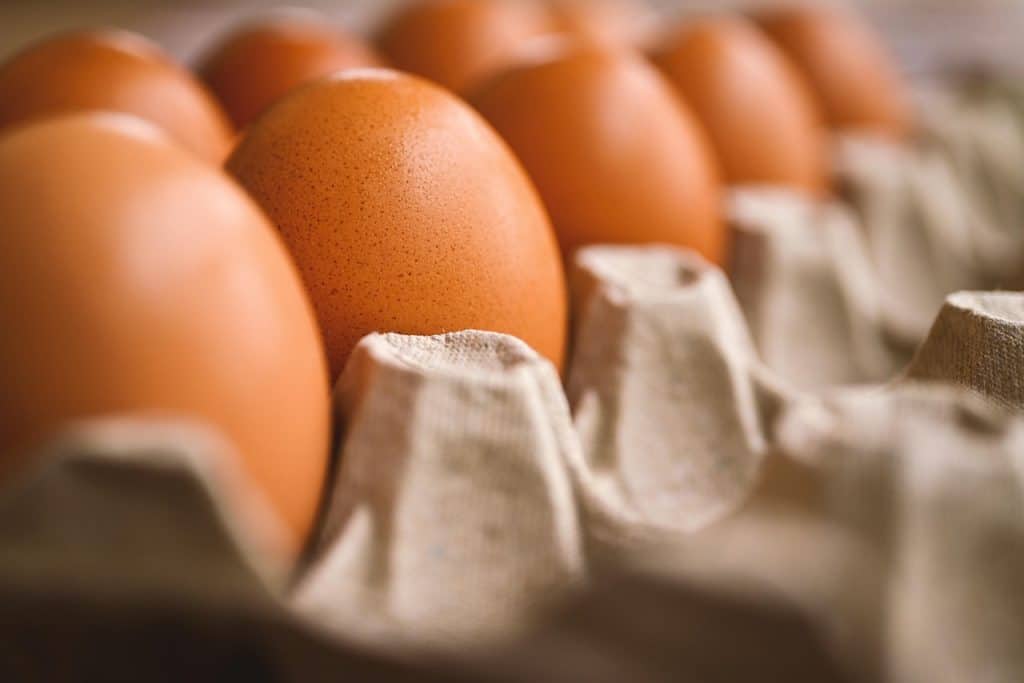 تعابير شائعة مع egg بالانجليزي مترجمة للعربي