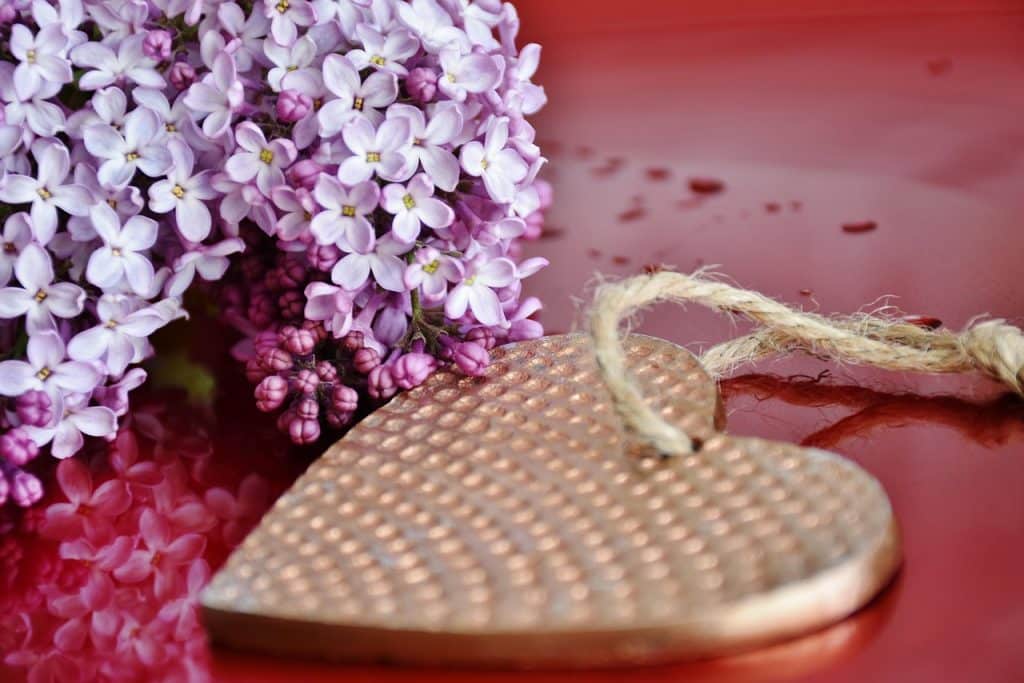 عبارات عن رد الجميل بالانجليزي
