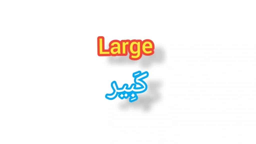 معنى كلمة large بالانجليزي