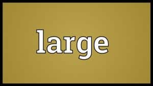 معنى كلمة large بالانجليزي