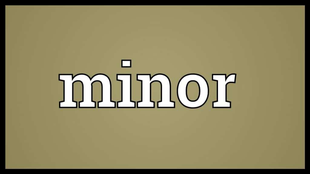 معنى كلمة minor بالانجليزي