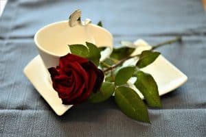 عبارات صباح الخير مترجمة للانجليزية