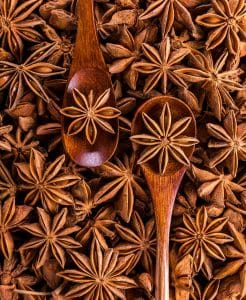 مقال بالانجليزي عن فوائد نجمة الأرض لزيادة الوزن مترجم