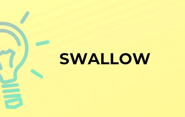 معنى كلمة swallow بالانجليزي والعربي