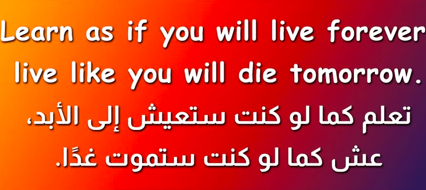 عبارات عن الغنى مترجمة 