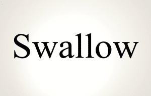 معنى كلمة swallow بالانجليزي والعربي
